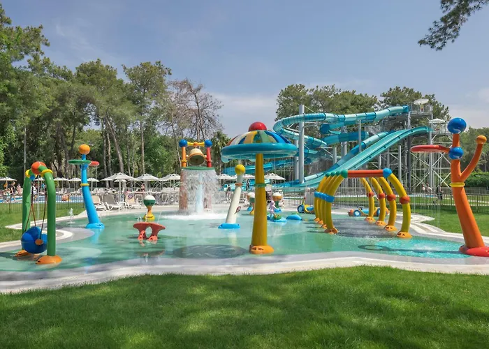 Arcanus Sorgun 锡德