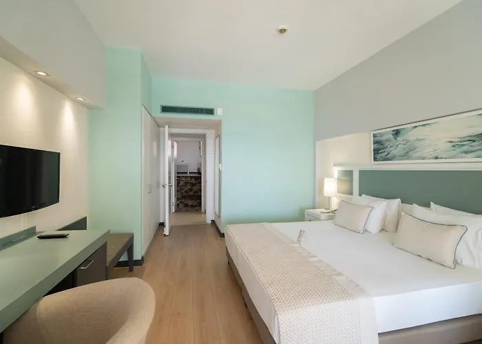 Arcanus Sorgun 锡德