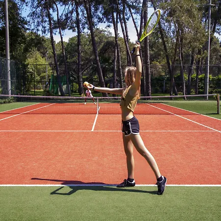 Arcanus Sorgun سيدي