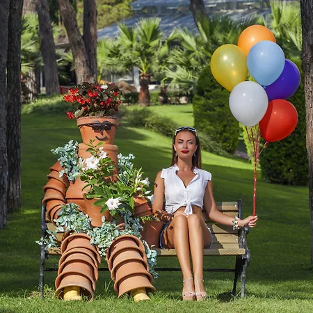 Arcanus Sorgun سيدي