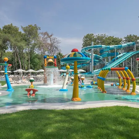 Arcanus Sorgun سيدي